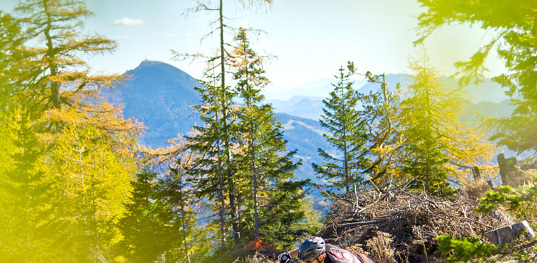 Flow Country Trail in Kärnten