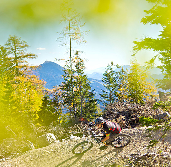 Flow Country Trail in Kärnten