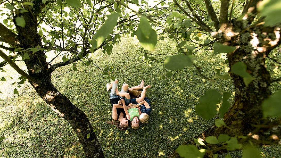 Kinder spielen unter den Baumkronen