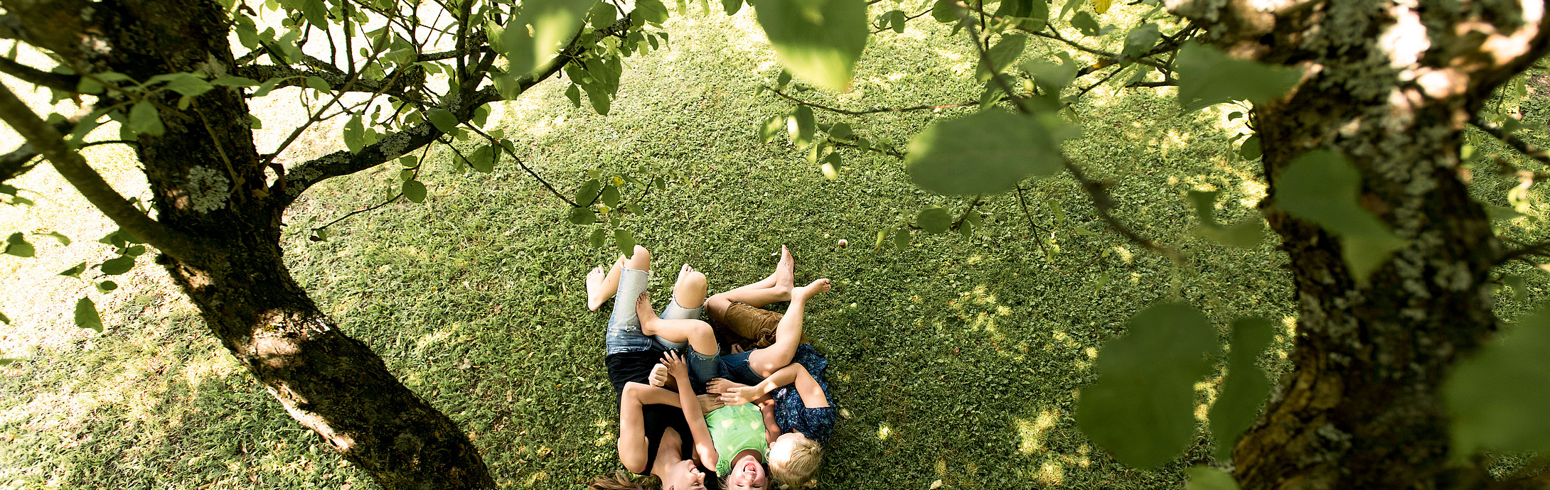 Kinder spielen unter den Baumkronen