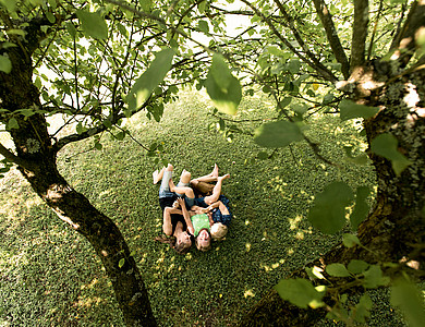 Kinder spielen unter den Baumkronen
